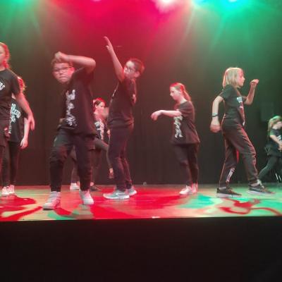 CRAZY SHOWS